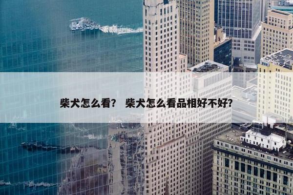柴犬怎么看？ 柴犬怎么看品相好不好？