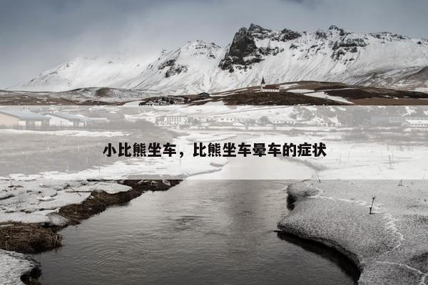 小比熊坐车，比熊坐车晕车的症状