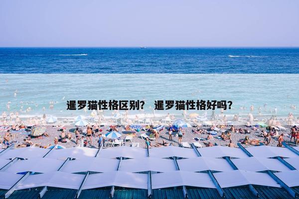 暹罗猫性格区别？ 暹罗猫性格好吗？