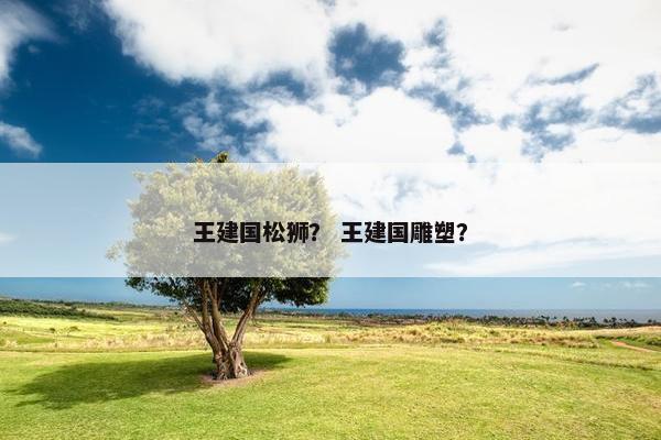 王建国松狮？ 王建国雕塑？
