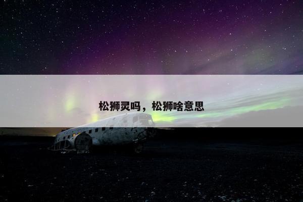 松狮灵吗，松狮啥意思