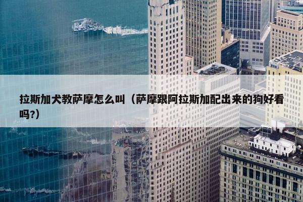拉斯加犬教萨摩怎么叫（萨摩跟阿拉斯加配出来的狗好看吗?）