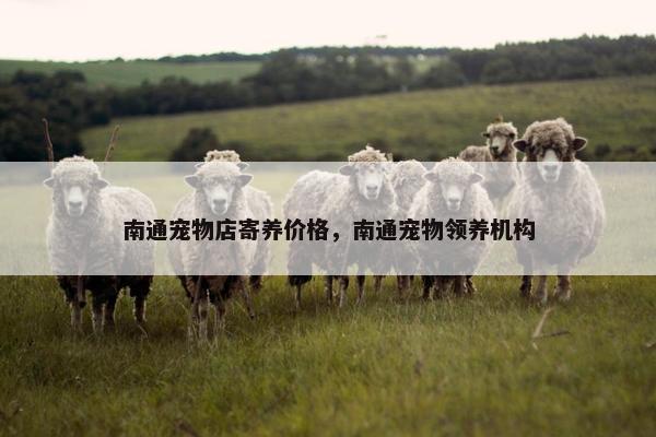南通宠物店寄养价格，南通宠物领养机构