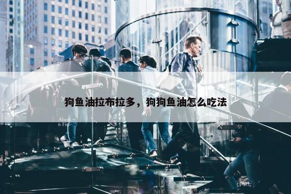 狗鱼油拉布拉多，狗狗鱼油怎么吃法