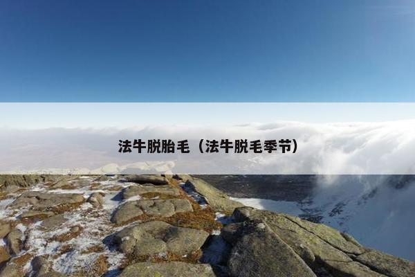 法牛脱胎毛（法牛脱毛季节）