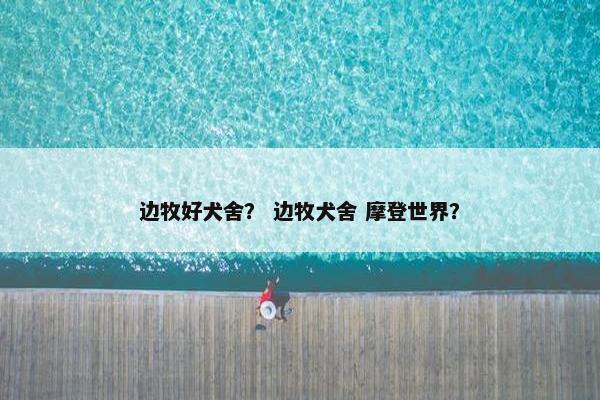 边牧好犬舍？ 边牧犬舍 摩登世界？