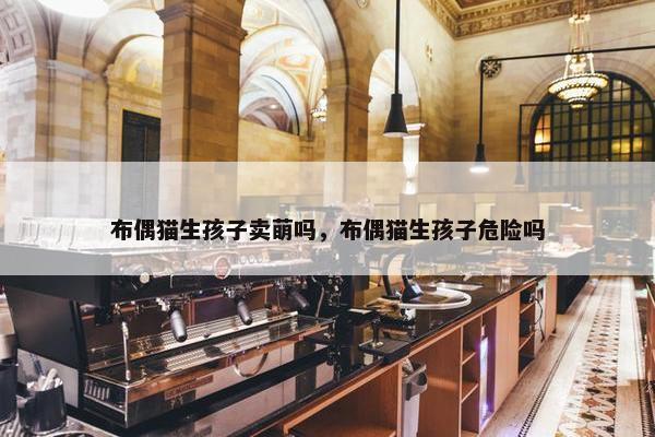 布偶猫生孩子卖萌吗，布偶猫生孩子危险吗