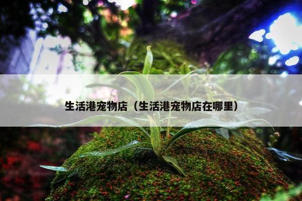 生活港宠物店（生活港宠物店在哪里）