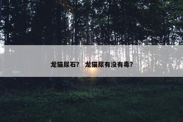 龙猫尿石？ 龙猫尿有没有毒？