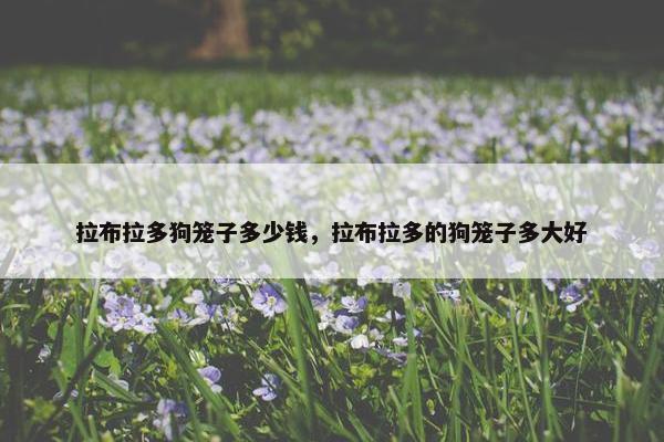 拉布拉多狗笼子多少钱，拉布拉多的狗笼子多大好