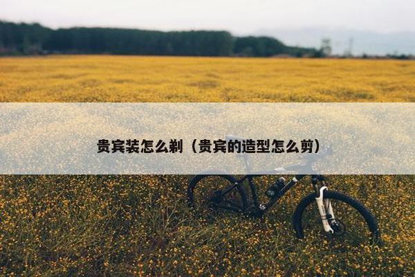 贵宾装怎么剃（贵宾的造型怎么剪）