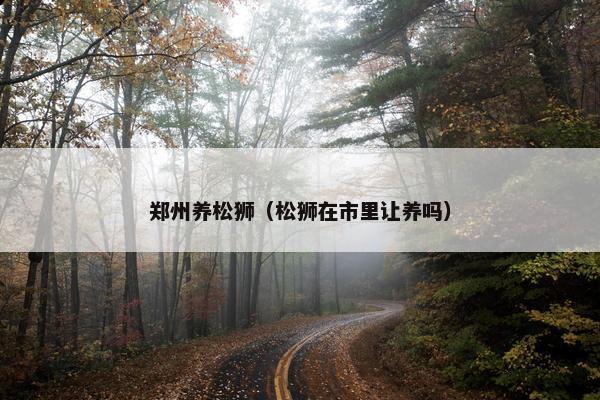 郑州养松狮（松狮在市里让养吗）