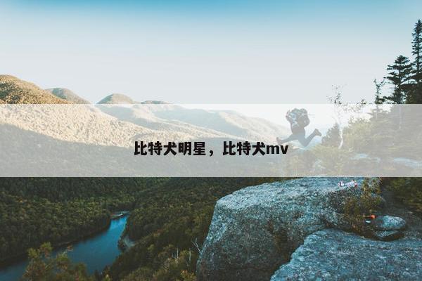 比特犬明星，比特犬mv