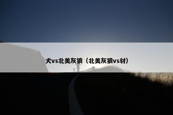 犬vs北美灰狼（北美灰狼vs豺）