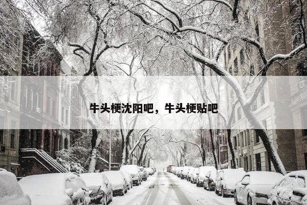 牛头梗沈阳吧，牛头梗贴吧