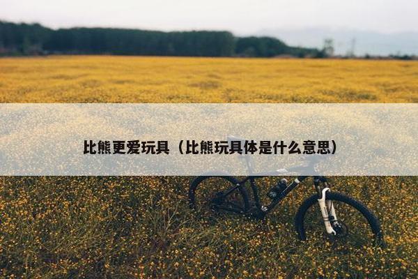 比熊更爱玩具（比熊玩具体是什么意思）