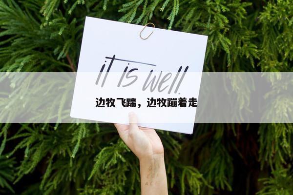 边牧飞踹，边牧蹦着走