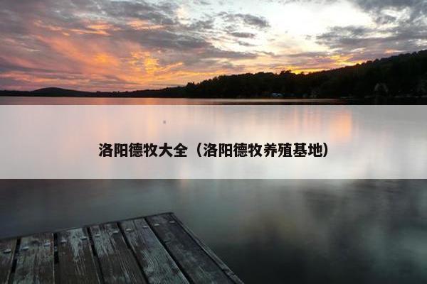 洛阳德牧大全（洛阳德牧养殖基地）