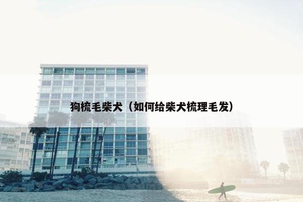 狗梳毛柴犬（如何给柴犬梳理毛发）