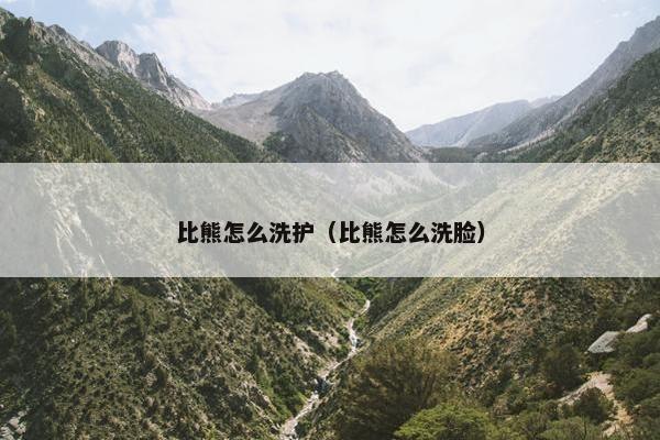 比熊怎么洗护（比熊怎么洗脸）