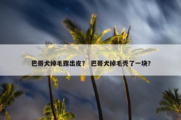 巴哥犬掉毛露出皮？ 巴哥犬掉毛秃了一块？
