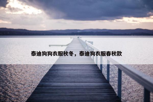 泰迪狗狗衣服秋冬，泰迪狗衣服春秋款