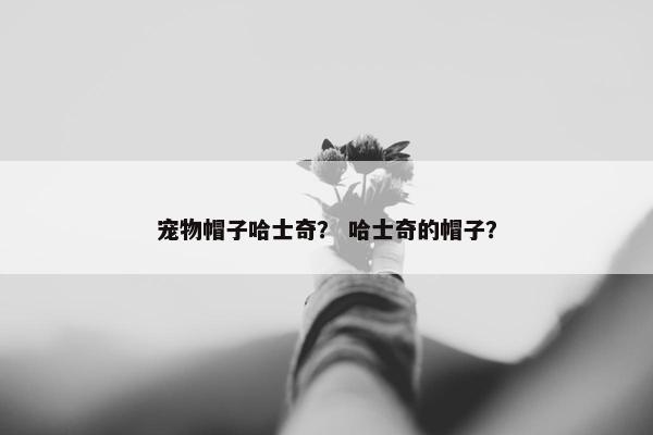 宠物帽子哈士奇？ 哈士奇的帽子？