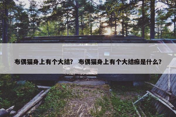 布偶猫身上有个大结？ 布偶猫身上有个大结痂是什么？