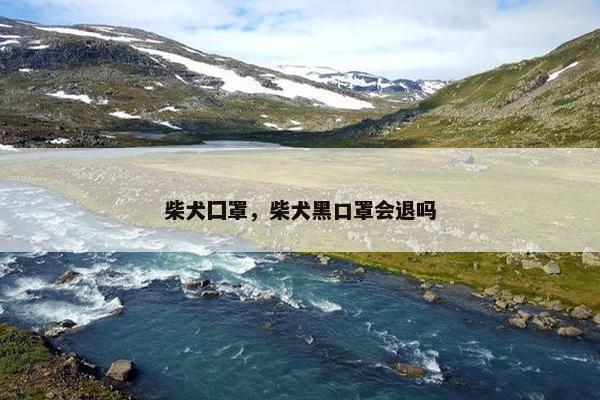 柴犬囗罩，柴犬黑口罩会退吗