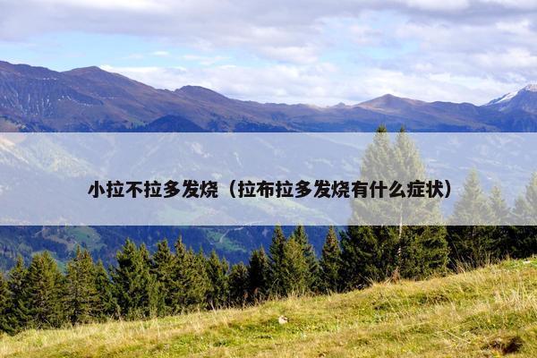 小拉不拉多发烧（拉布拉多发烧有什么症状）