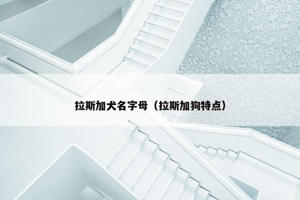 拉斯加犬名字母（拉斯加狗特点）