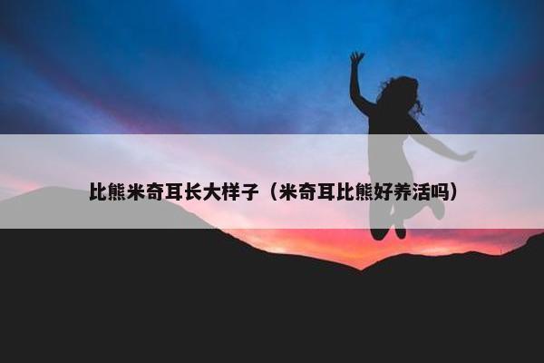 比熊米奇耳长大样子（米奇耳比熊好养活吗）