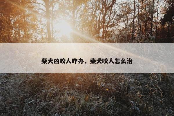 柴犬凶咬人咋办，柴犬咬人怎么治