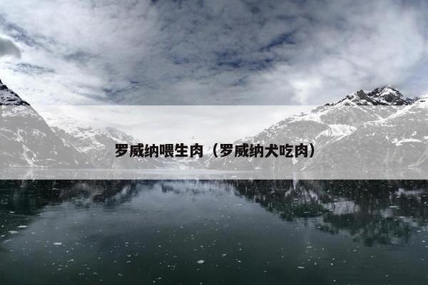 罗威纳喂生肉（罗威纳犬吃肉）