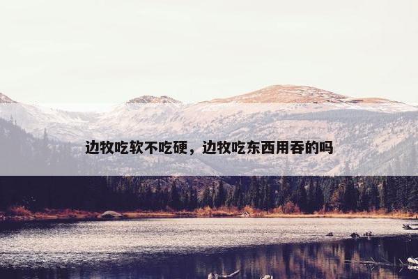边牧吃软不吃硬，边牧吃东西用吞的吗