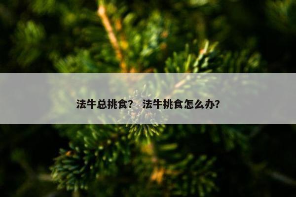 法牛总挑食？ 法牛挑食怎么办？