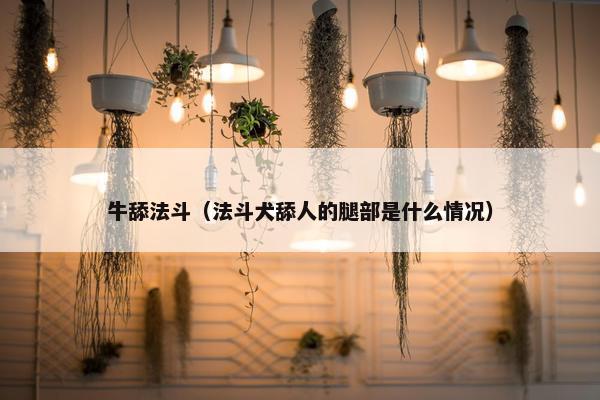 牛舔法斗（法斗犬舔人的腿部是什么情况）