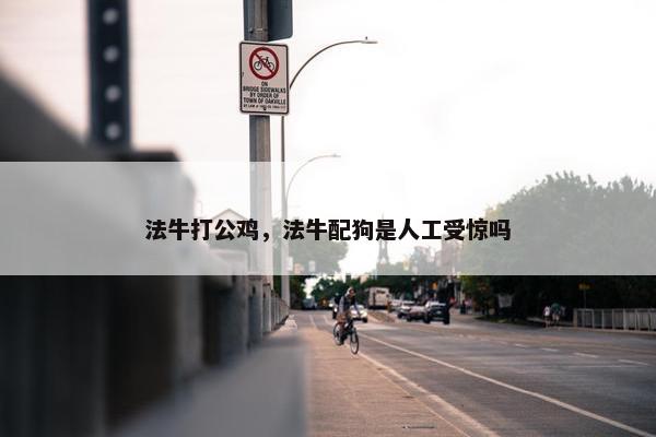 法牛打公鸡，法牛配狗是人工受惊吗