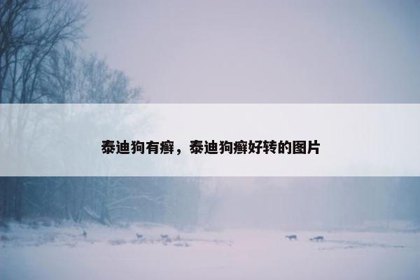 泰迪狗有癣，泰迪狗癣好转的图片