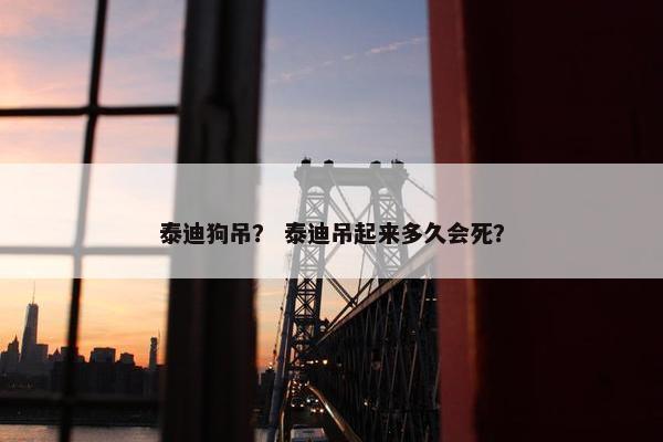 泰迪狗吊？ 泰迪吊起来多久会死？