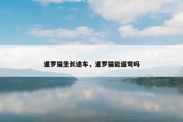 暹罗猫坐长途车，暹罗猫能遛弯吗