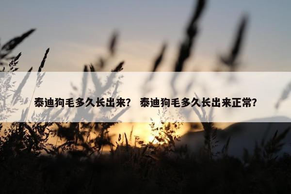 泰迪狗毛多久长出来？ 泰迪狗毛多久长出来正常？