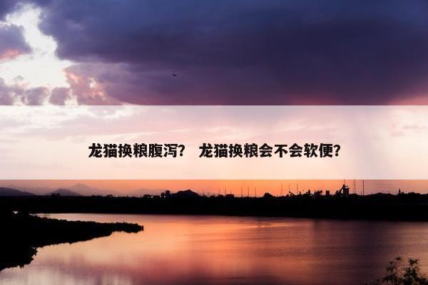 龙猫换粮腹泻？ 龙猫换粮会不会软便？