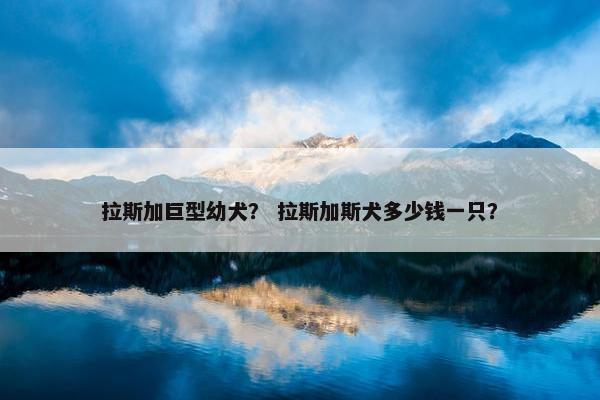 拉斯加巨型幼犬？ 拉斯加斯犬多少钱一只？