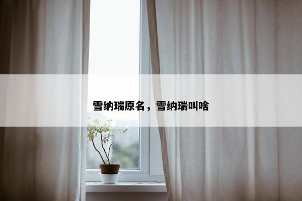 雪纳瑞原名，雪纳瑞叫啥