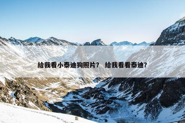 给我看小泰迪狗照片？ 给我看看泰迪？