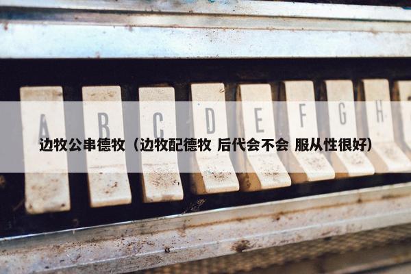 边牧公串德牧（边牧配德牧 后代会不会 服从性很好）