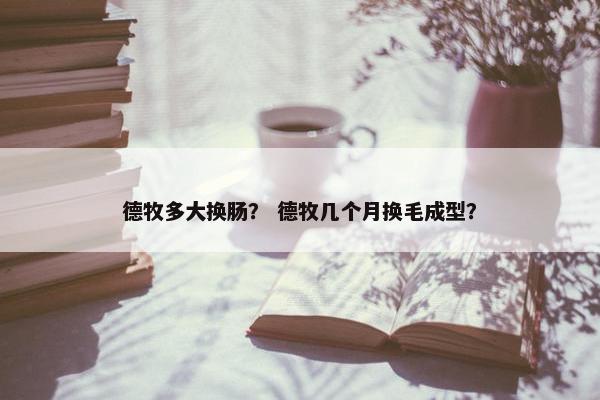 德牧多大换肠？ 德牧几个月换毛成型？