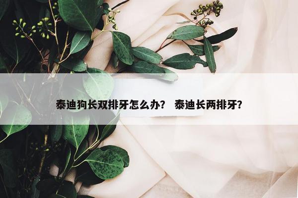 泰迪狗长双排牙怎么办？ 泰迪长两排牙？