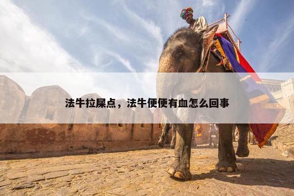 法牛拉屎点，法牛便便有血怎么回事